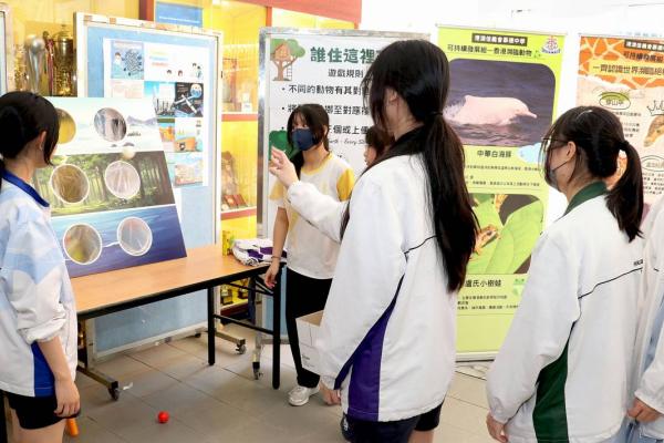 攤位游戲+守宮出巡記